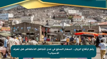رغم ارتفاع الريال.. أسعار السلع في عدن تتجاهل الانخفاض هل تعرف الأسباب؟